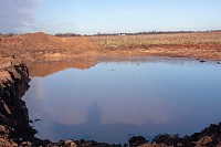 Prees Heath Pond