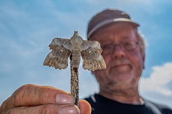 Poplar Hawk-moth & Dave Grundy (Stephen Barlow)